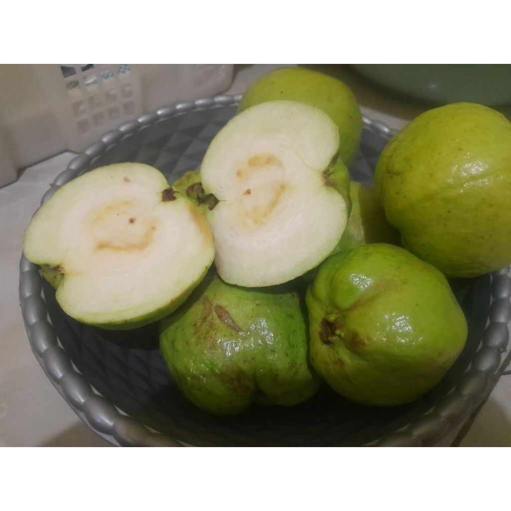 

Jambu Kristal Grade A