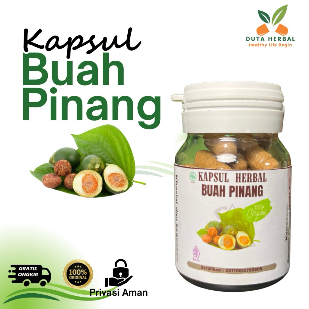 Kapsul Buah Pinang Muda Original Herbal