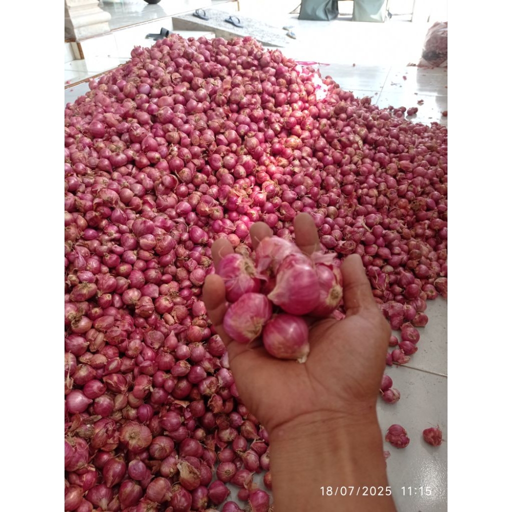 

BAWANG MERAH SUPER PREMIUM