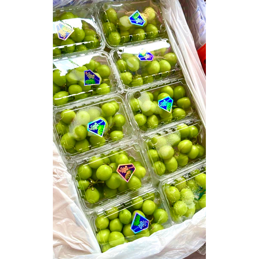 

Anggur Muscat hijau tanpa biji per Box