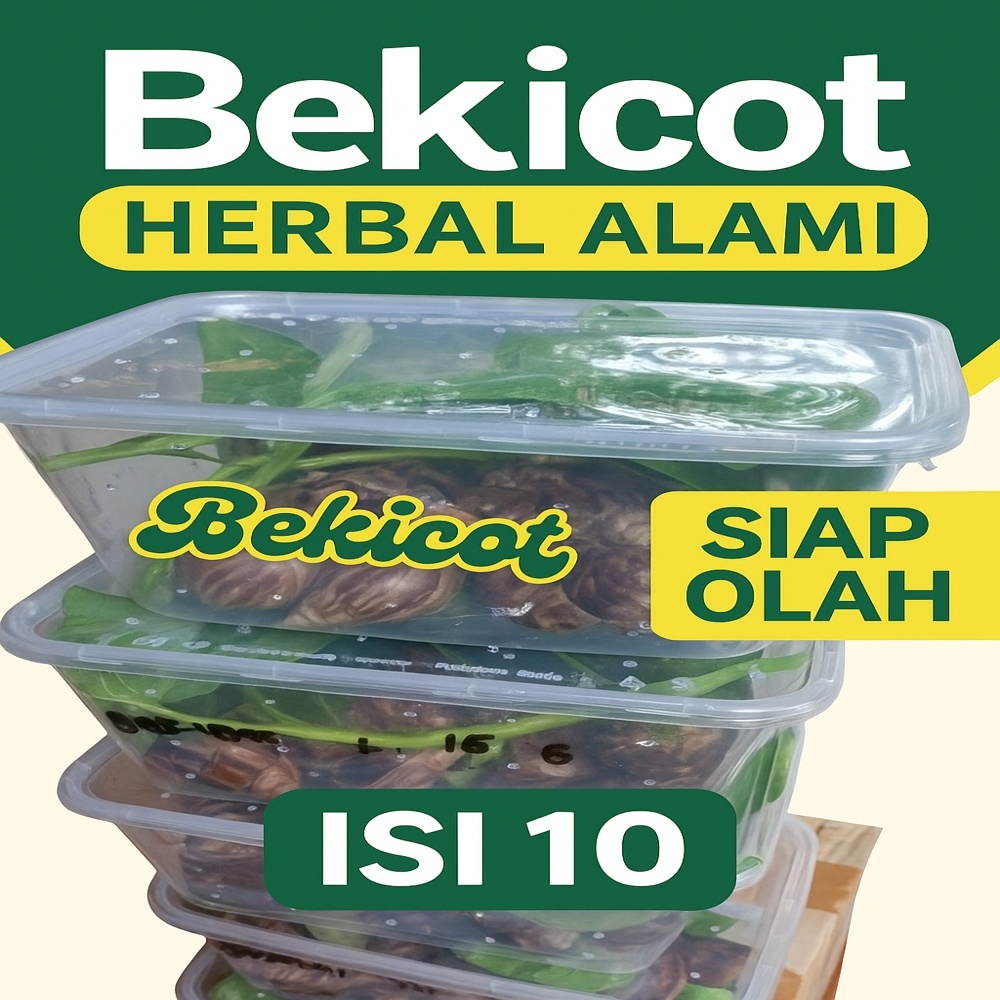 

bekicot herbal alami isi 10 bersih sehat