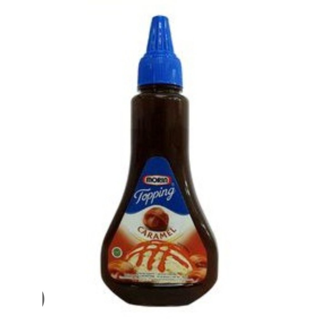 

Morin Topping Caramel 310 gr
