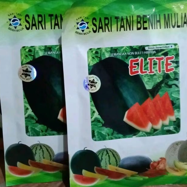 Benih Semangka Non Biji Jumbo Bangkok Elite F1 20g (Tahan Virus, Panen 58-65 HST) Ori