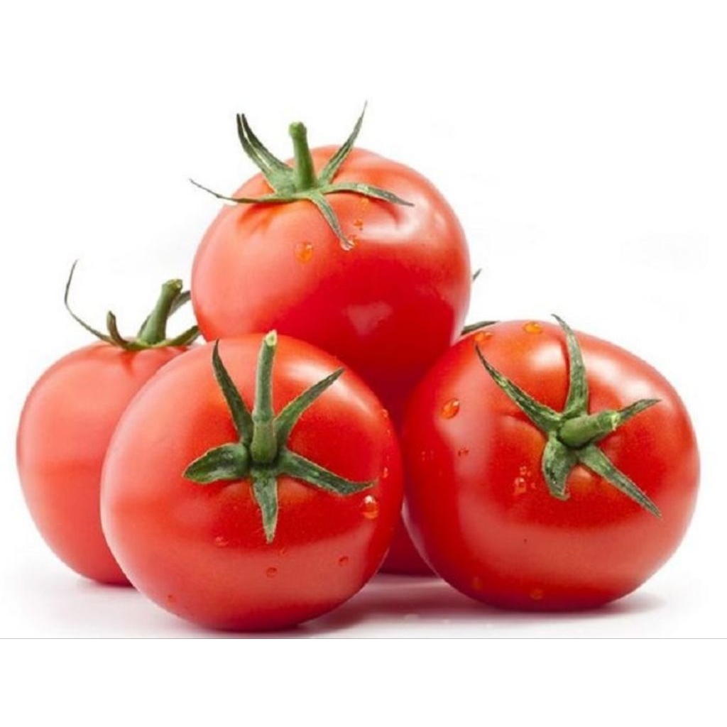 

Tomat sayur 1 ons - 1 kg