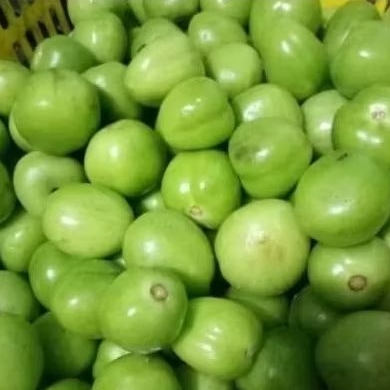 

Tomat Hijau 250gr/500gr