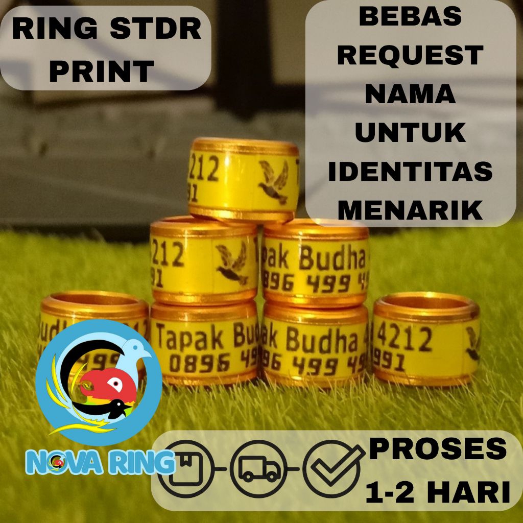 RING MERPATI MODEL RODA STANDAR