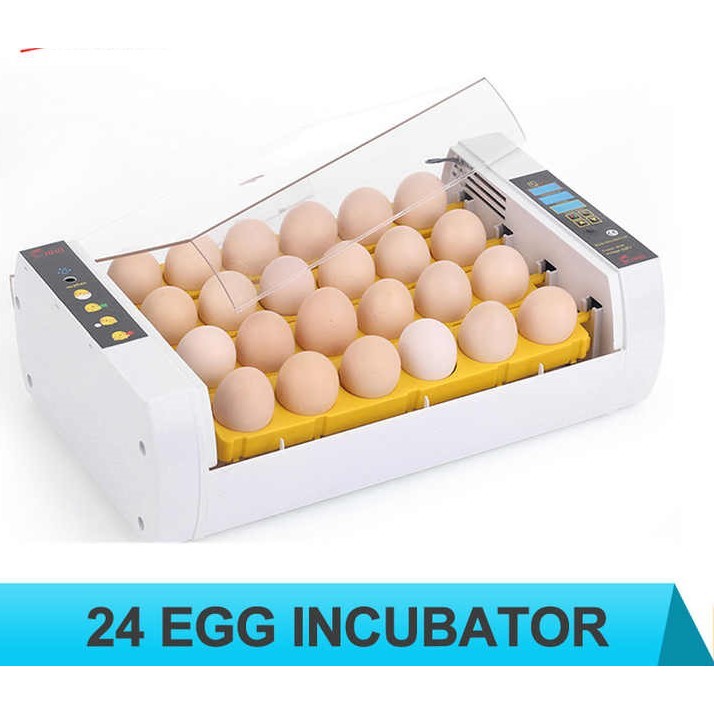 Inkubator Penetas Telur Ayam Bebek 24 Telur Full Otomatis Digital