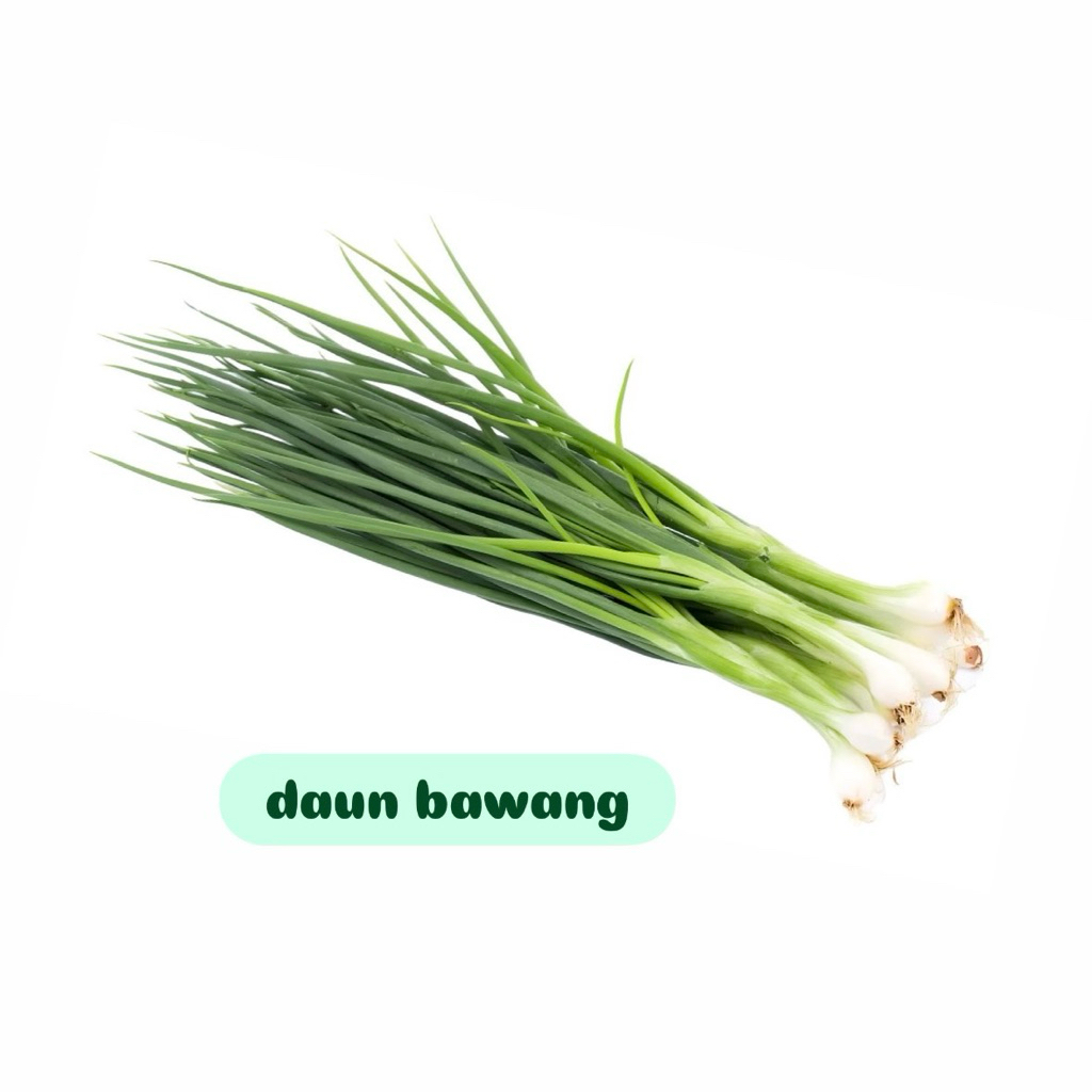 

Daun Bawang Fresh 100gr/250gr/500gr