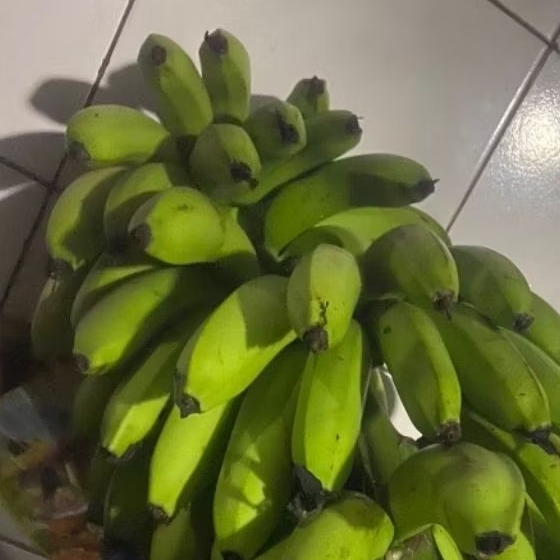 

Buah Pisang Mentah PPR PNS Pisang Bangkaulu