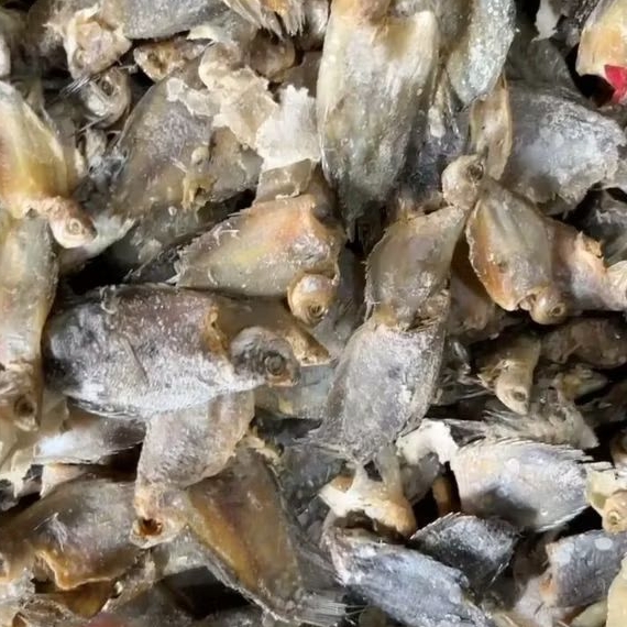 

IKAN ASIN PAKRIK/ikan asin sepat kecil 250gr