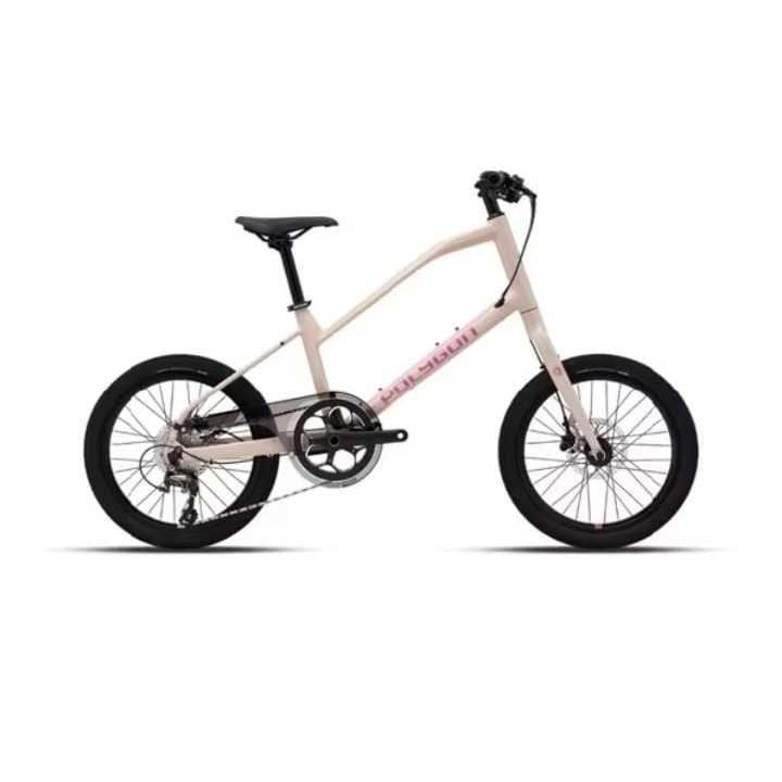Sepeda Minivelo 20 inch POLYGON ZETA VELO 1 x 10 sepeda minivelo
