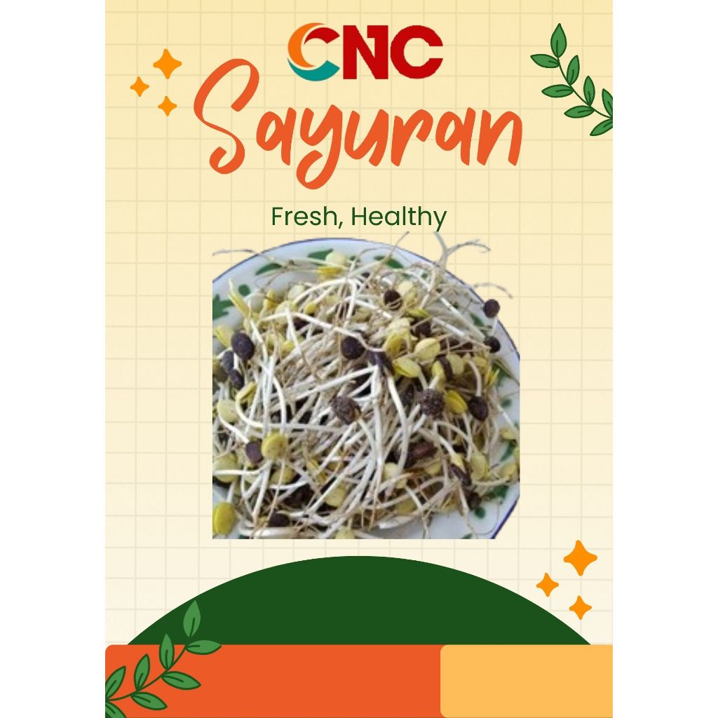 

KHUSUS INSTANT KECAMBAH ALE 100 GR