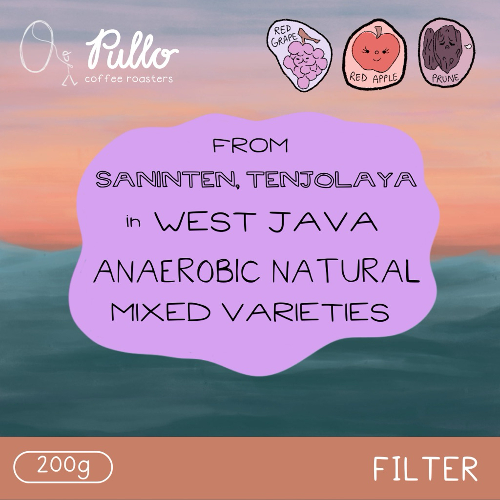 

Filter Roast - Saninten Tenjolaya Anaerobic Natural