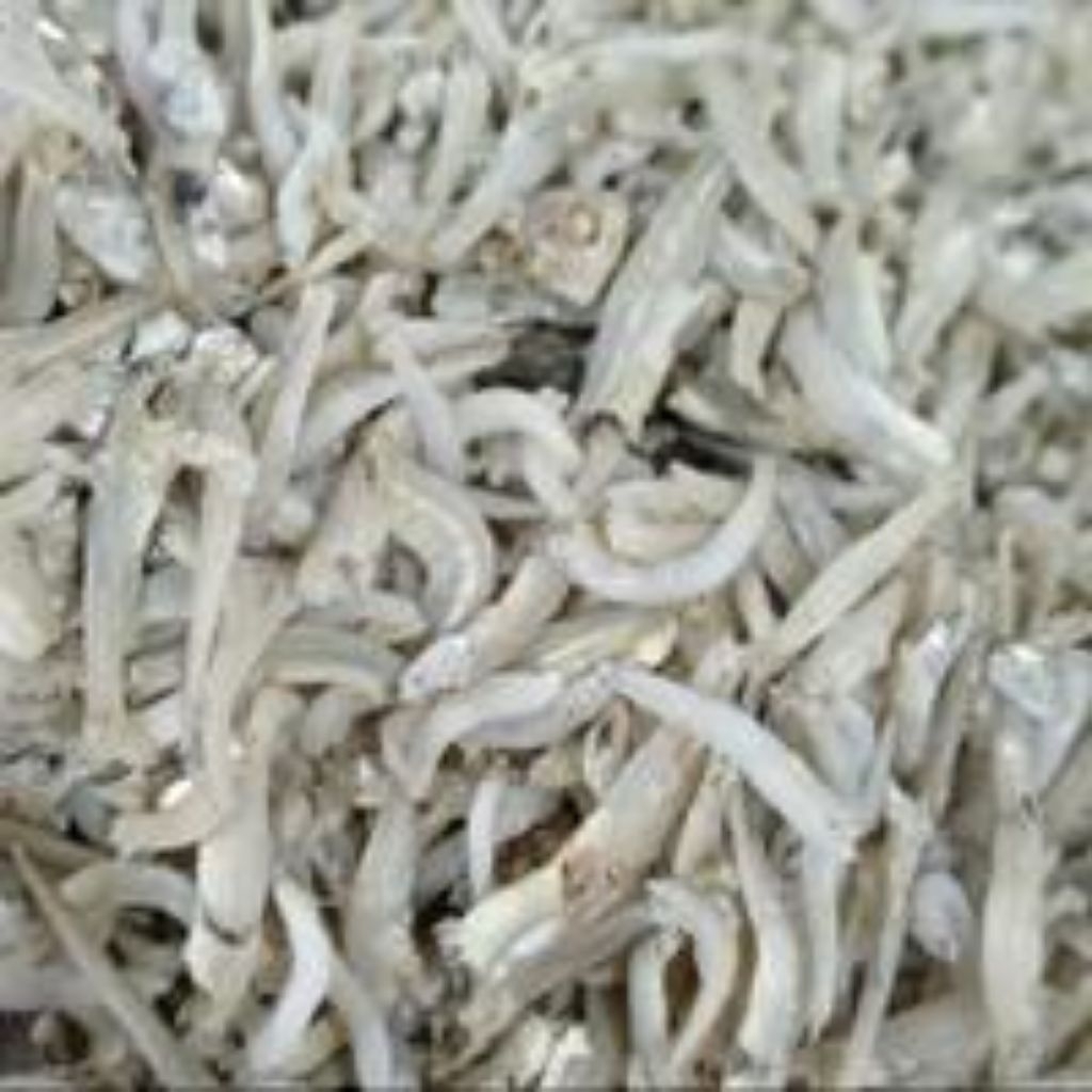 

ikan asin teri rebus