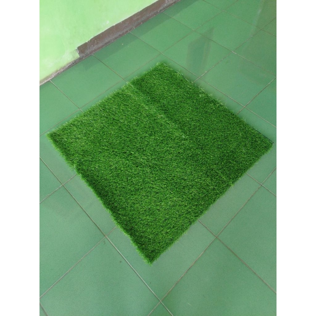 rumput sintesis//karpet sintetis//rumput Swiss 3cm 100 x 100