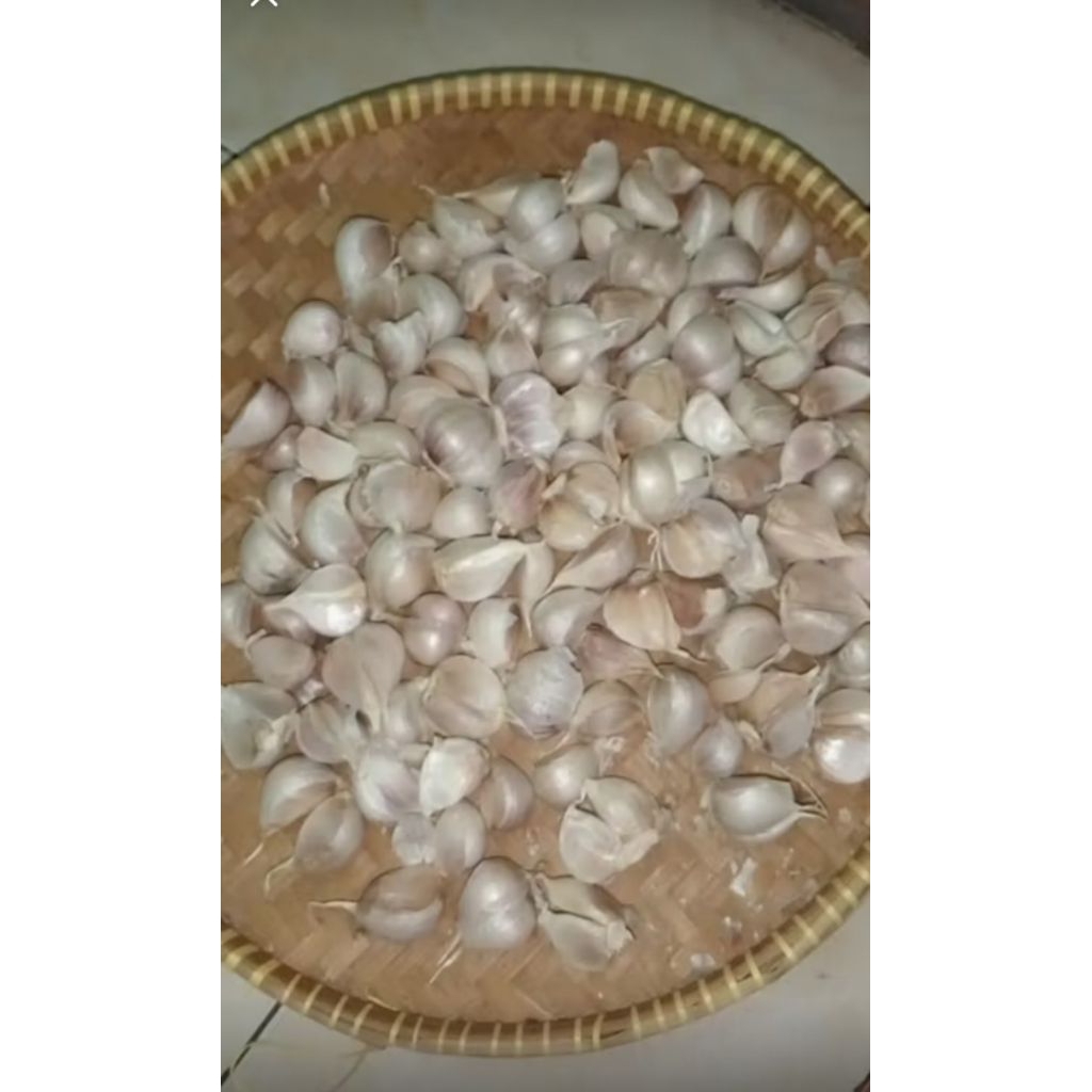 

BAWANG putih KATING 1kg