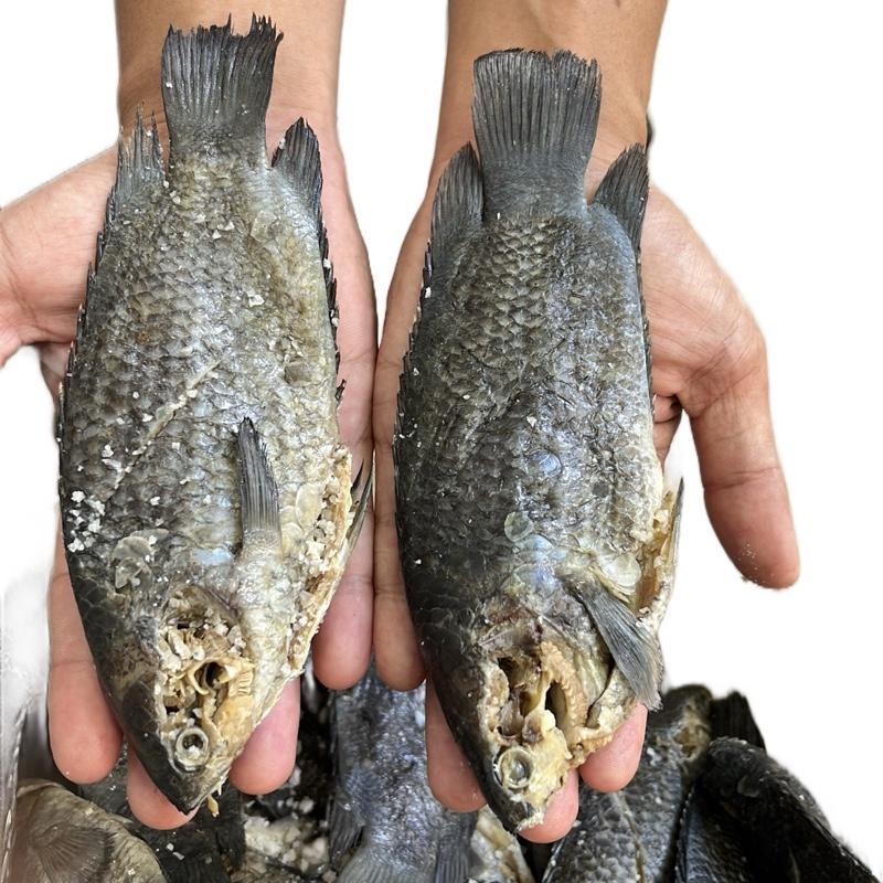 

Wadi Papuyu Khas Kalimantan – Ikan Fermentasi Khas Banjar Kaya Rasa & Gizi