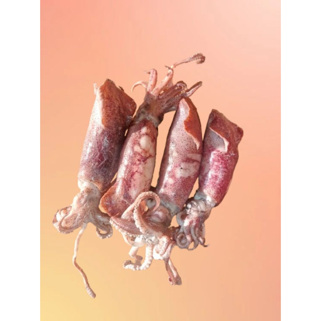 

[COD] CUMI JARUM ASIN TELUR JUMBO BESAR PILIHAN | CUMI SOTONG JARUM JUMBO [1 KG ] [ 500 GR ] [ 250GR ] QUALITY SUPER DAN BERSIH HIGIENIS