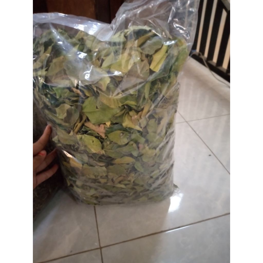 

Daun jeruk kering 500gr