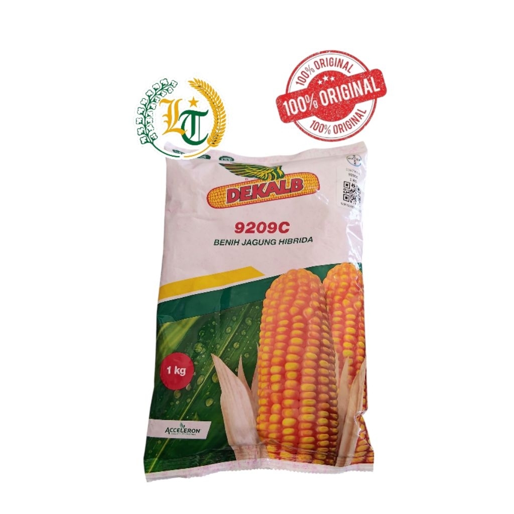 Benih Jagung DK 9209 C 1kg Bibit Hibrida Dekalb DK9209C Unggul Tahan Penyakit Bulai Cepat Panen exp 