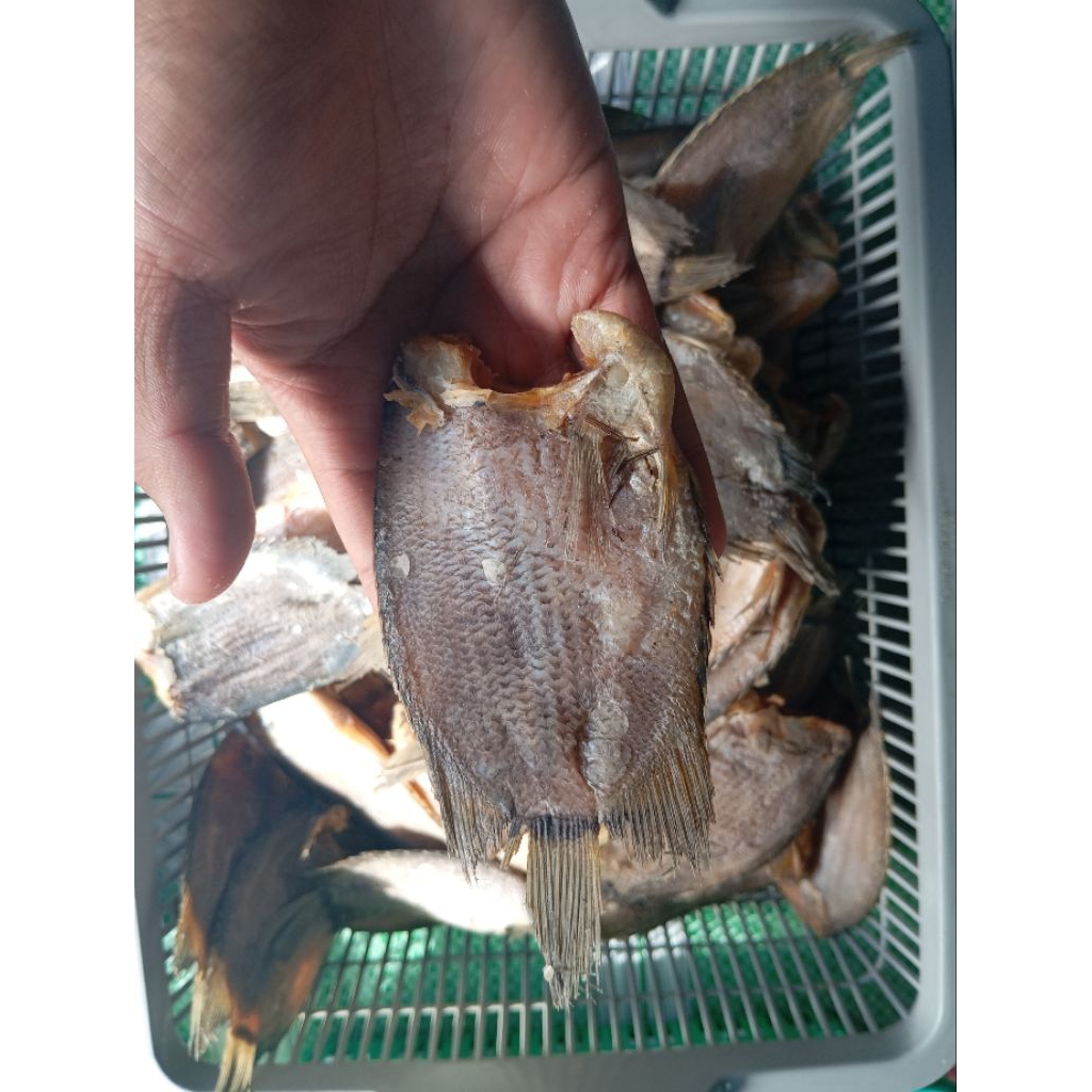 

Ikan Asin Biawan 250gr/500gr