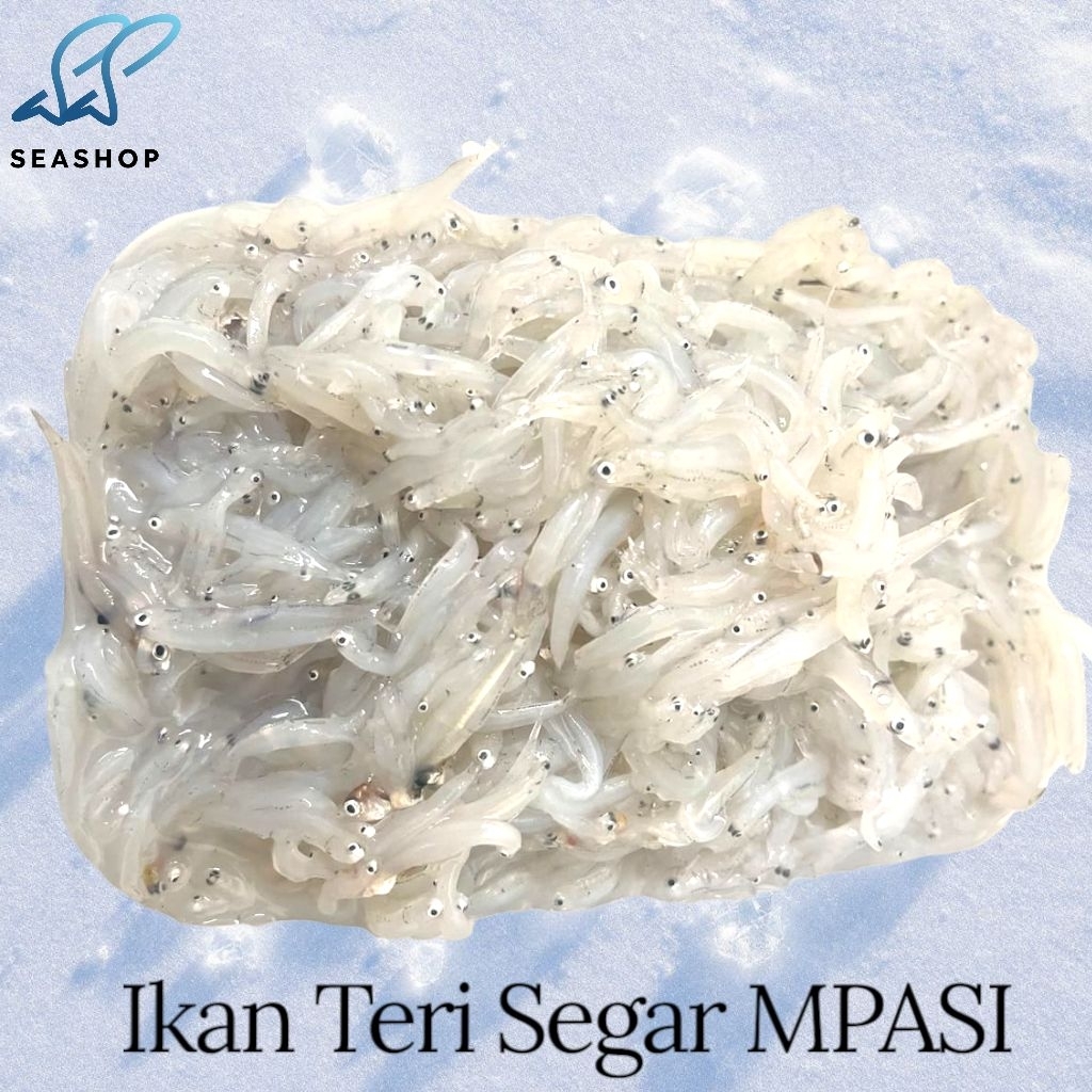 

Ikan Teri Nasi Segar MPASI - Teri Basah Segar - Teri Segar