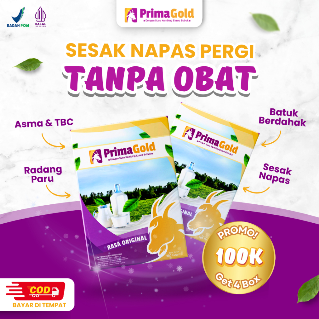 

Susu Etawa Primagold 2 Box Atasi Masalah Sesak Nafas Menahun