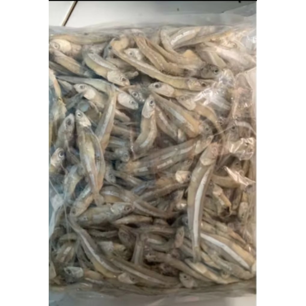 

Ikan Asin teri Jengki 100grm termurah harga grosir