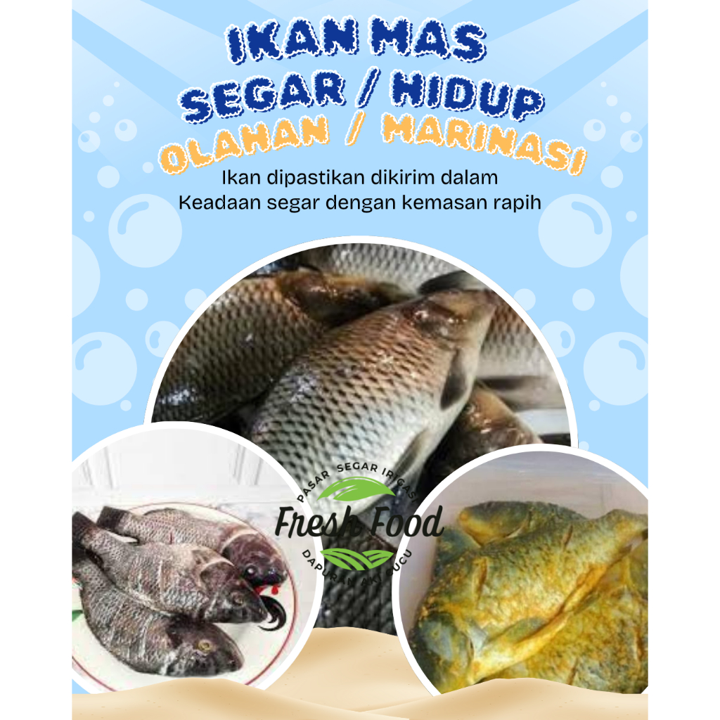 

Ikan Mas Segar / Ikan mas hidup / Ikan Mas Marinasi Bumbu kuning