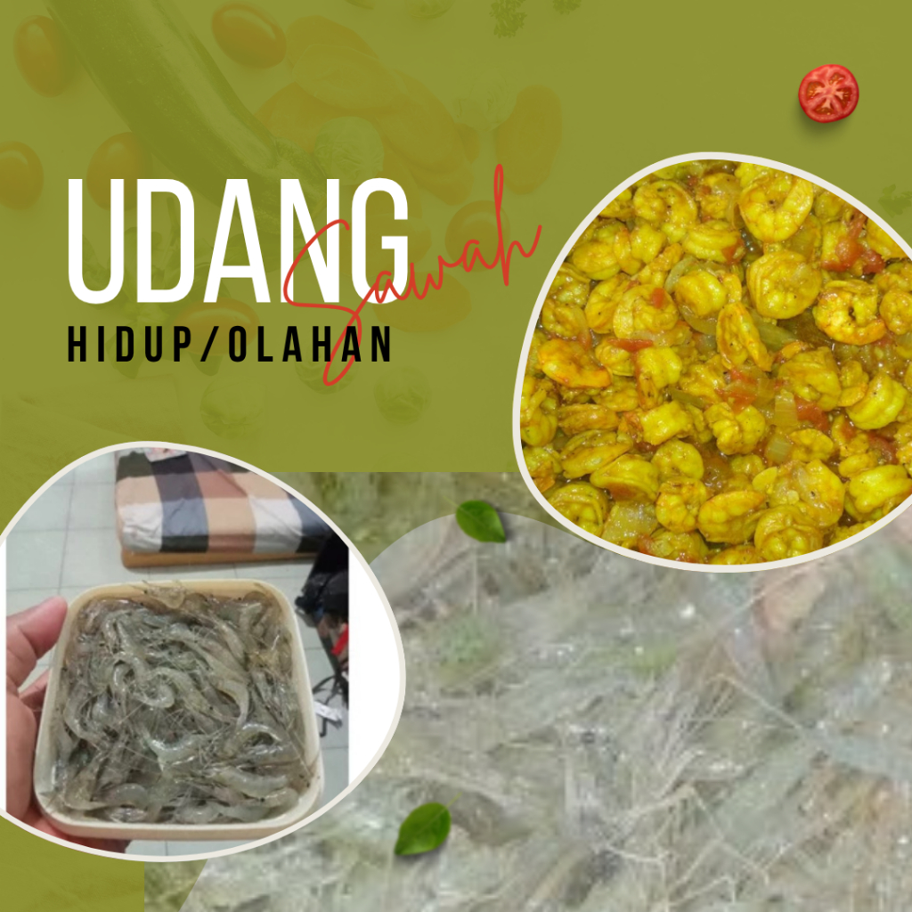 

Udang Kecil Segar / Udang Bumbu Kuning Siap Goreng