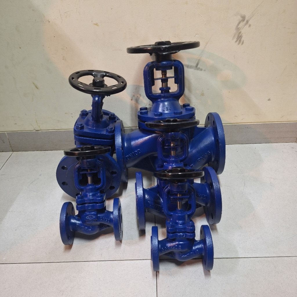 Globe valve 2" inch Spirax Sarco PN16/PN25