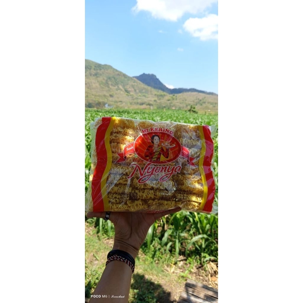 

mie kering cap nyonya