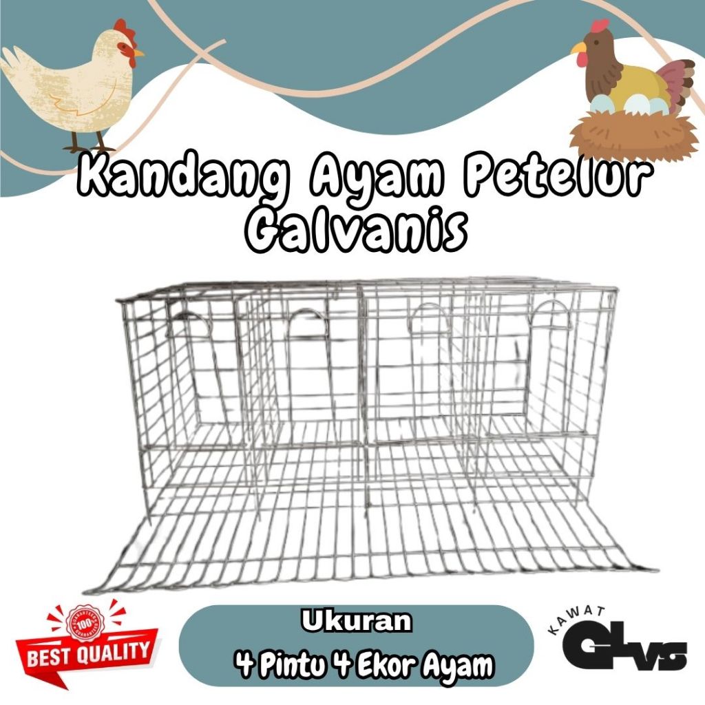 Kandang Ayam Petelur Galvanis 4 Pintu 4 Ekor