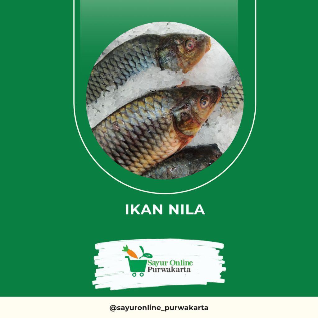 

Ikan Nila - Sayur Online Purwakarta