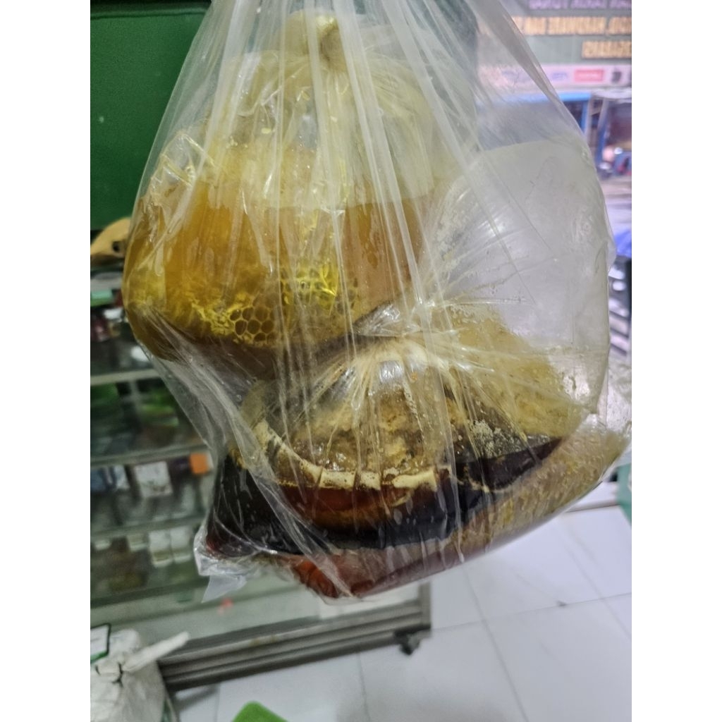 

Madu Hutan Plus Sama Sarang Air( Ule Ie)