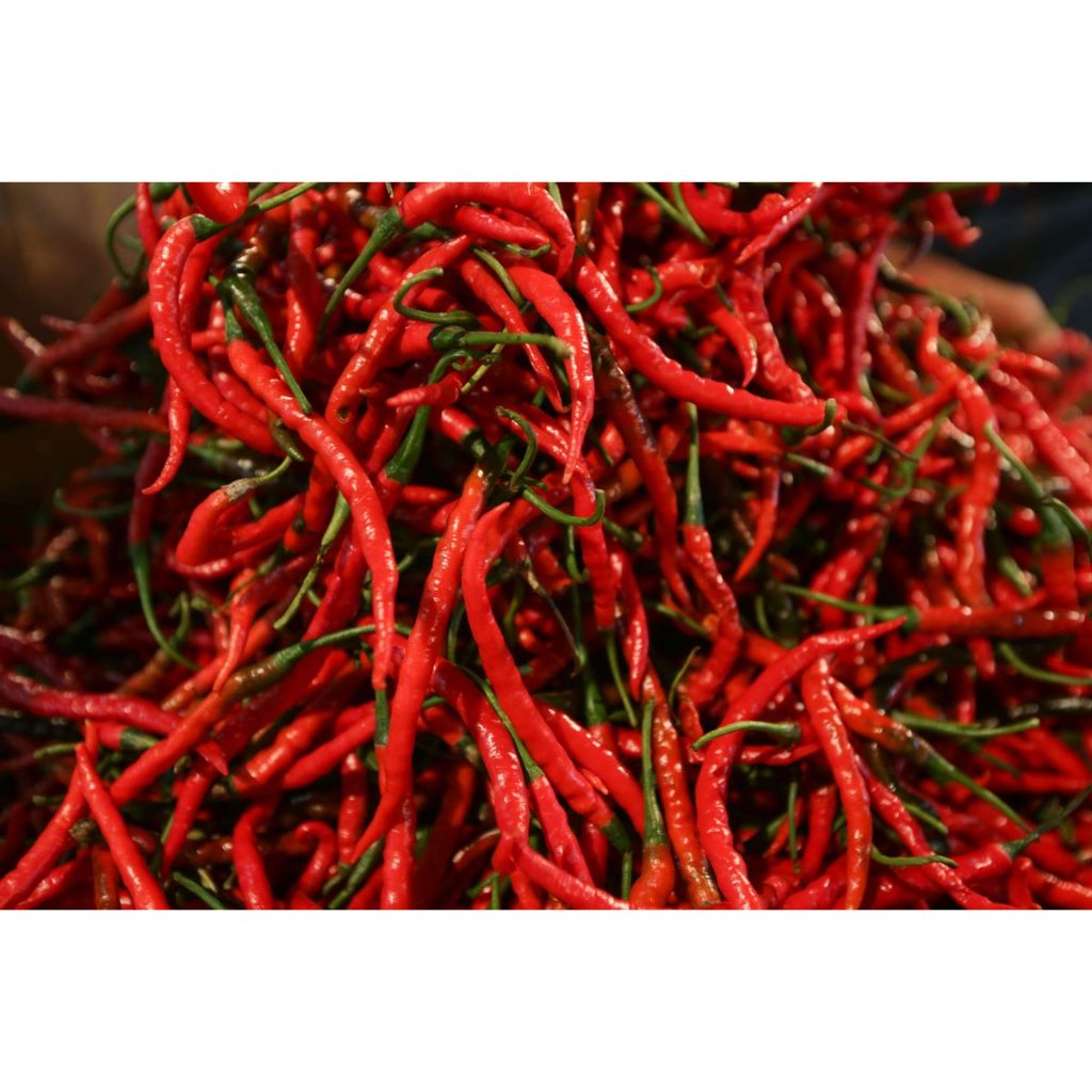 

cabe merah kriting fresh 250g