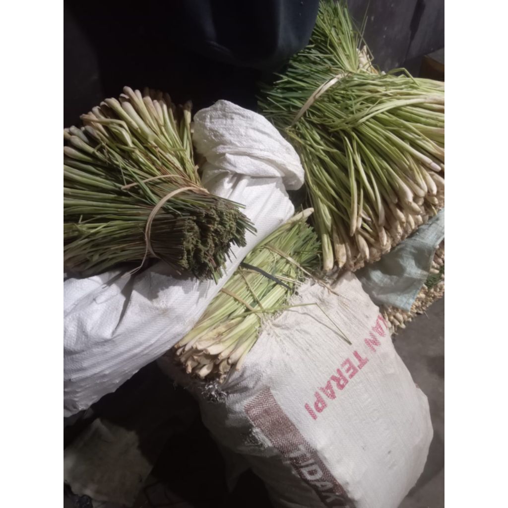 

sereh/serai 1kg sereh bogor seger 1kg