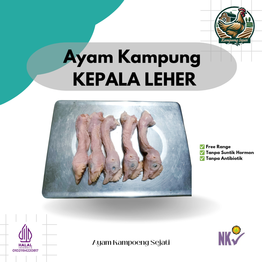 

Kepala Leher Ayam Kampung (Isi 5pcs) - Kampoeng Sejati