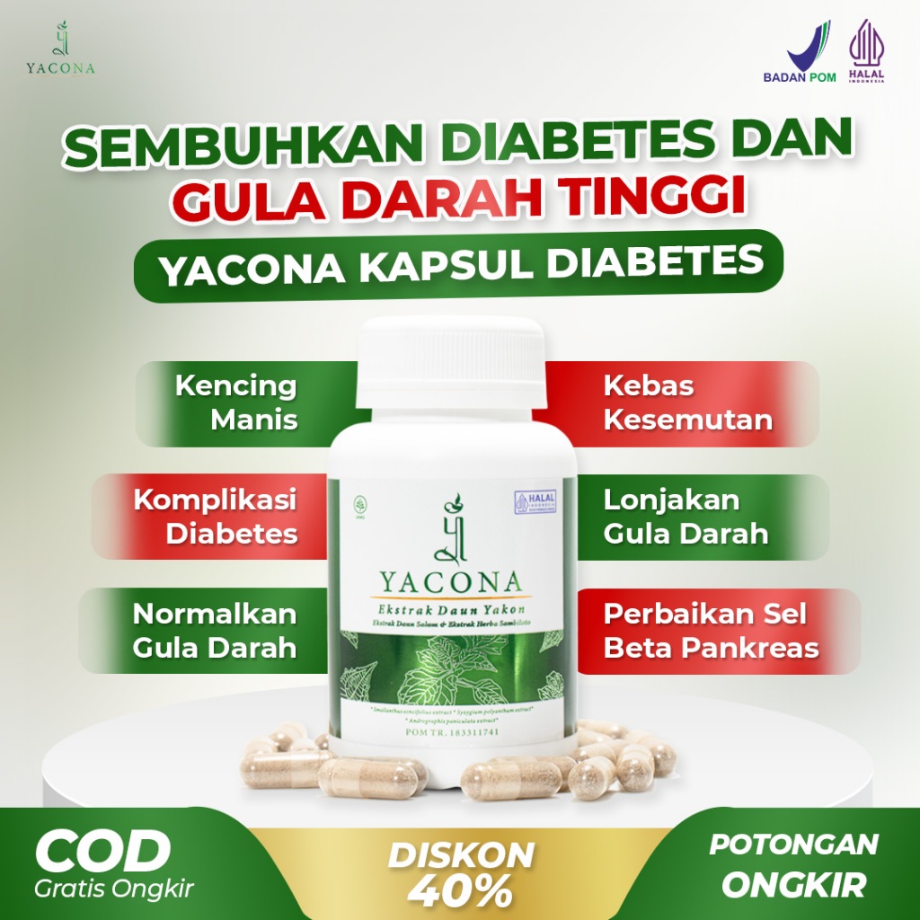 Obat Herbal Gula Darah Tinggi Yacona Kapsul Diabetes Daun Yakon Herbal Alami Isi 60 Kapsul