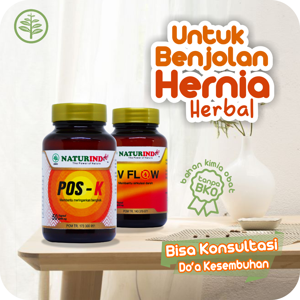 Obat turun berok hernia varikokel herbal ampuh Varises Buah Zakar Sembelit Isk Bv Flow Pos K Jejamu