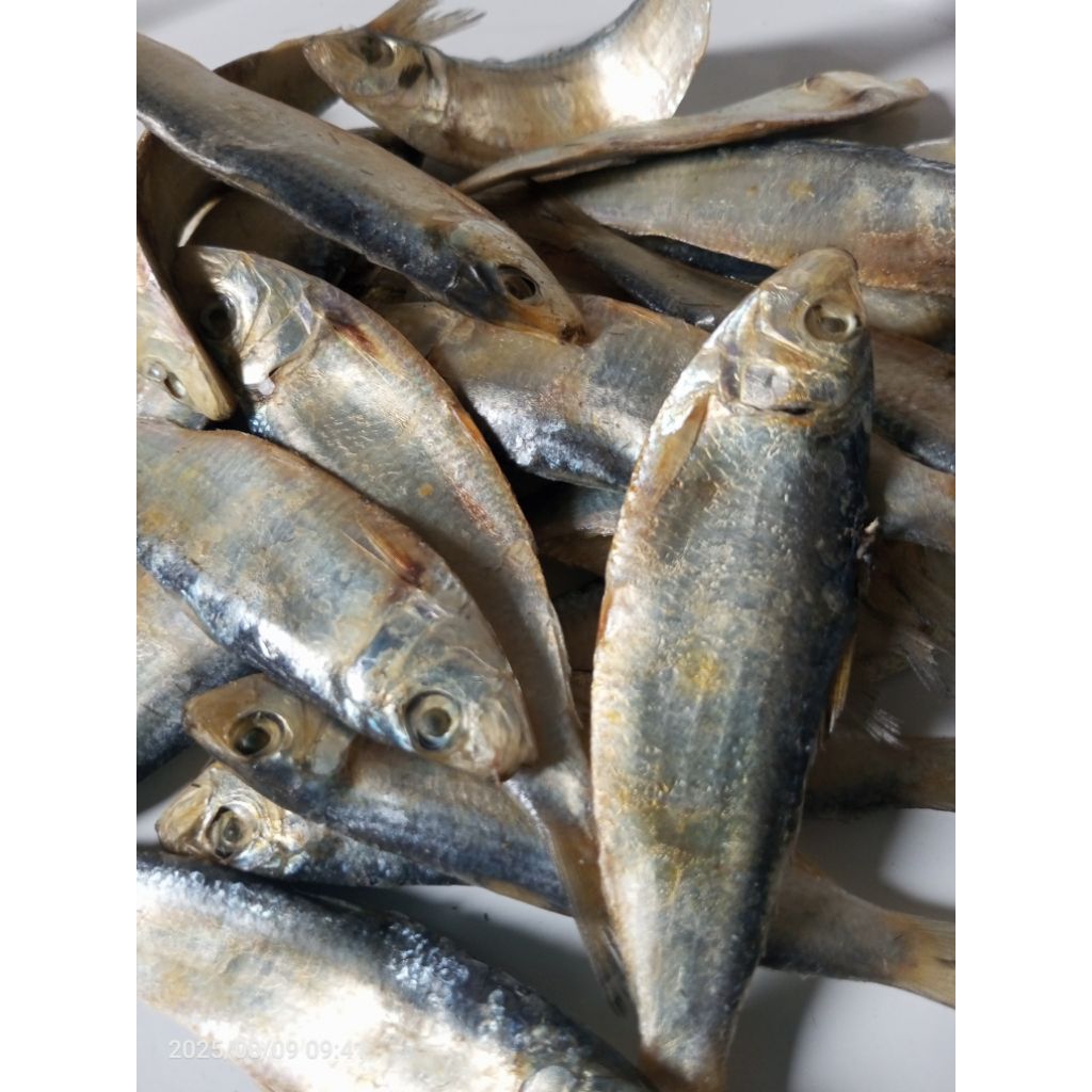 

Ikan Asin Tembang Ragas / tembang keriting bersisik ( mentah ) siap di masak. 250gr, 500gr dan 1kg.