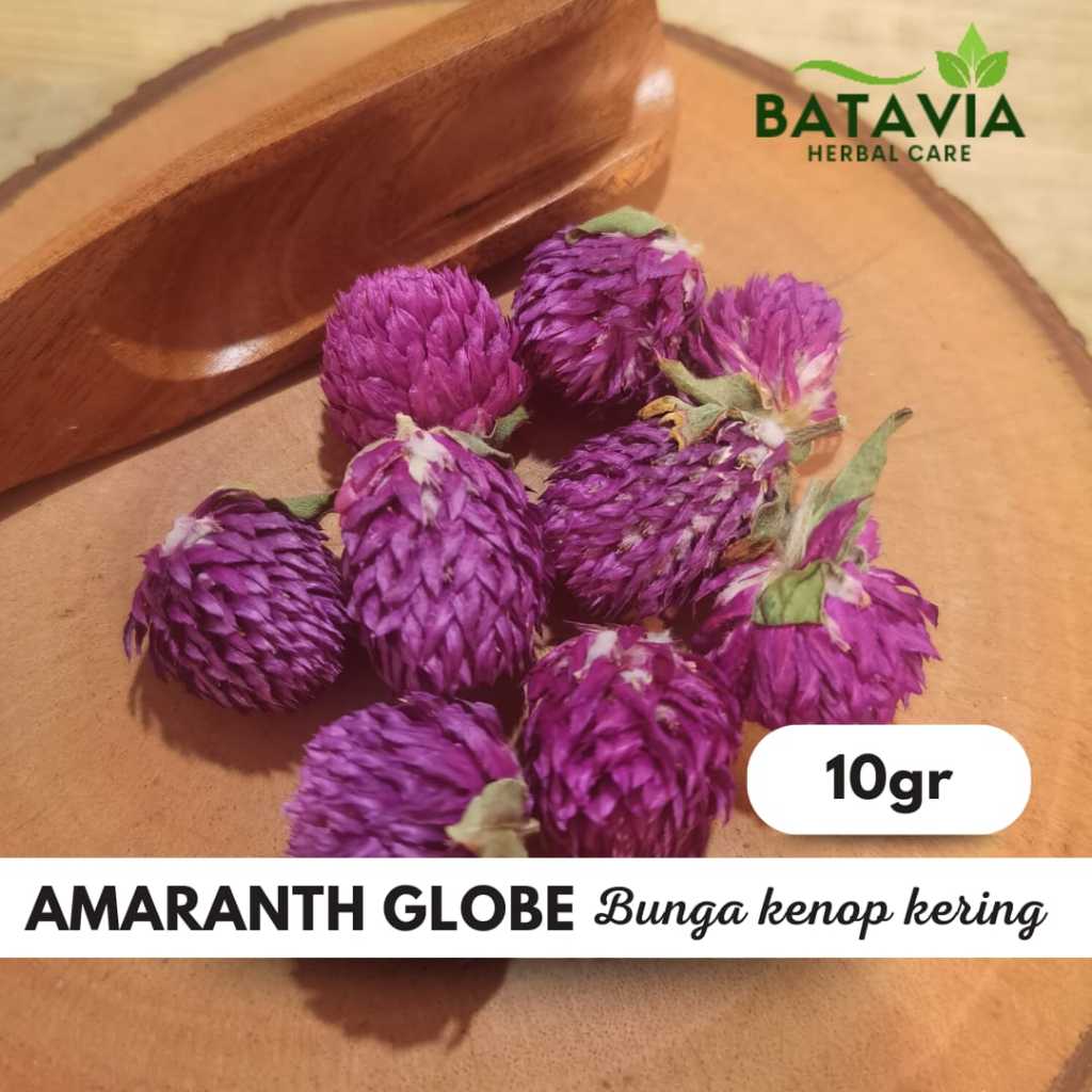 

Globe Amaranth Tea Teh Bunga Kenop Flower Tea Premium