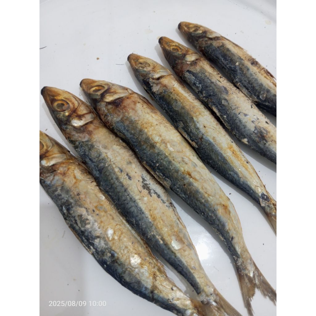 

Ikan Asin Japuh Belitung / japuh merah ( mentah ) siap di masak. 250gr, 500gr dan 1kg.