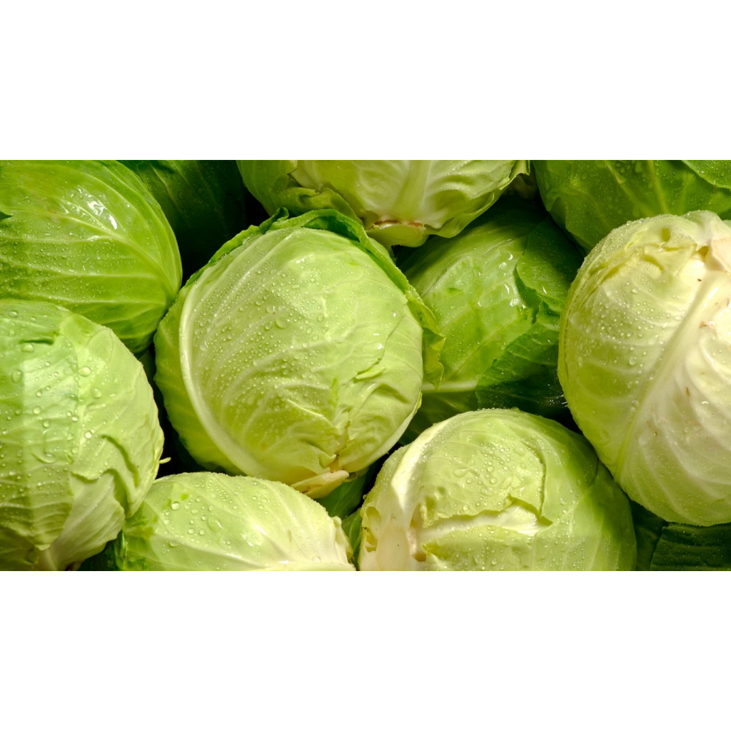 

Kubis kol fresh 1 kg dijamin paling murah