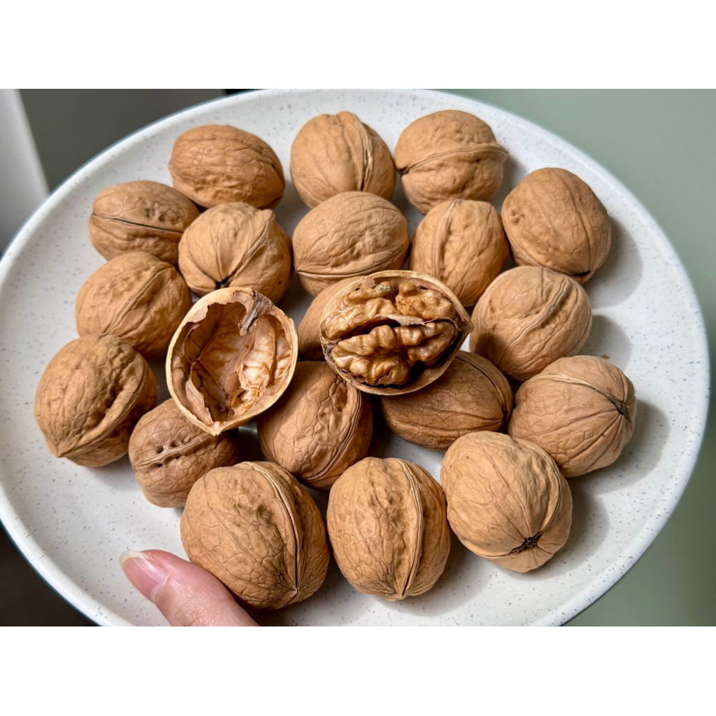 

Kacang Kenari Kering / Walnut Original Import Halal 500gr