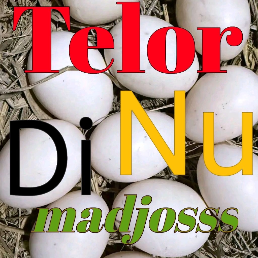 

telor madjos