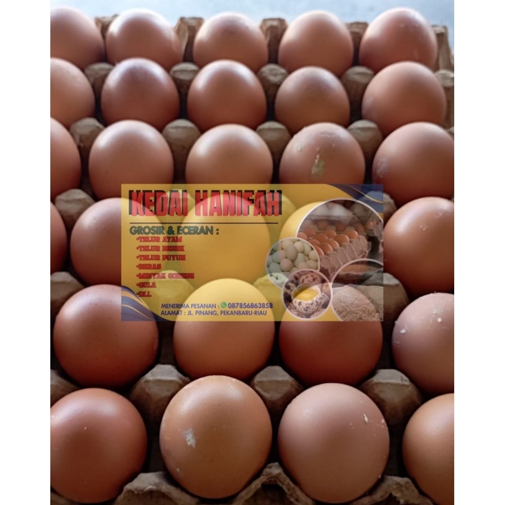 

Telur Uk. Ramban Besar