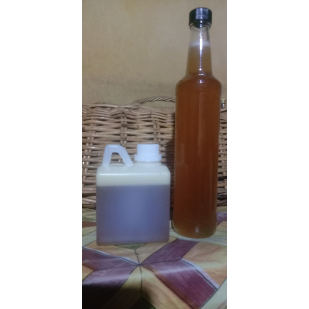 

Madu Hutan murni tawon gung( Apis dorsata)