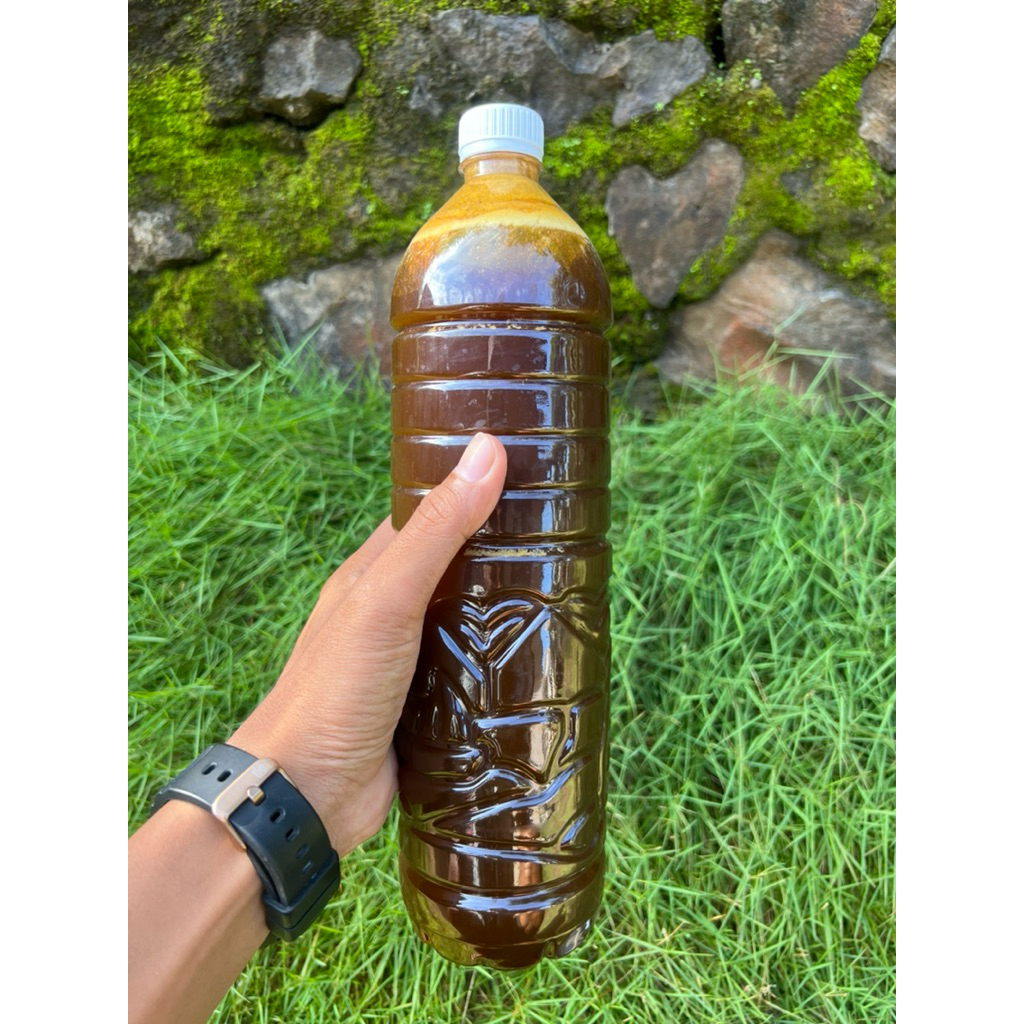 

MADU KELANCENG MURNI 100% DARI NEKTAR BUNGA KEMASAN 2kg