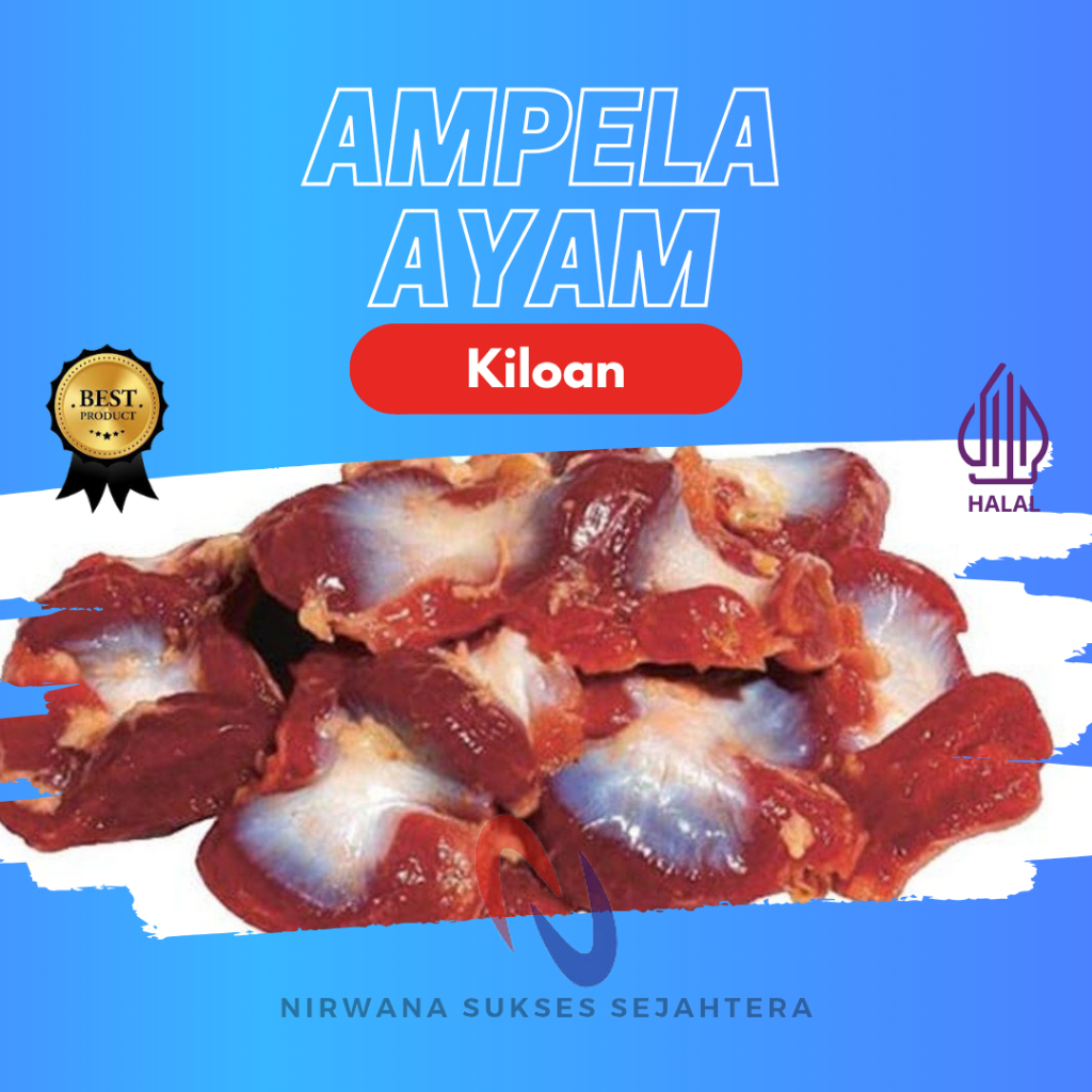 

AMPELA AYAM BROILER BERSIH / BROILER CHICKEN GIZZARD